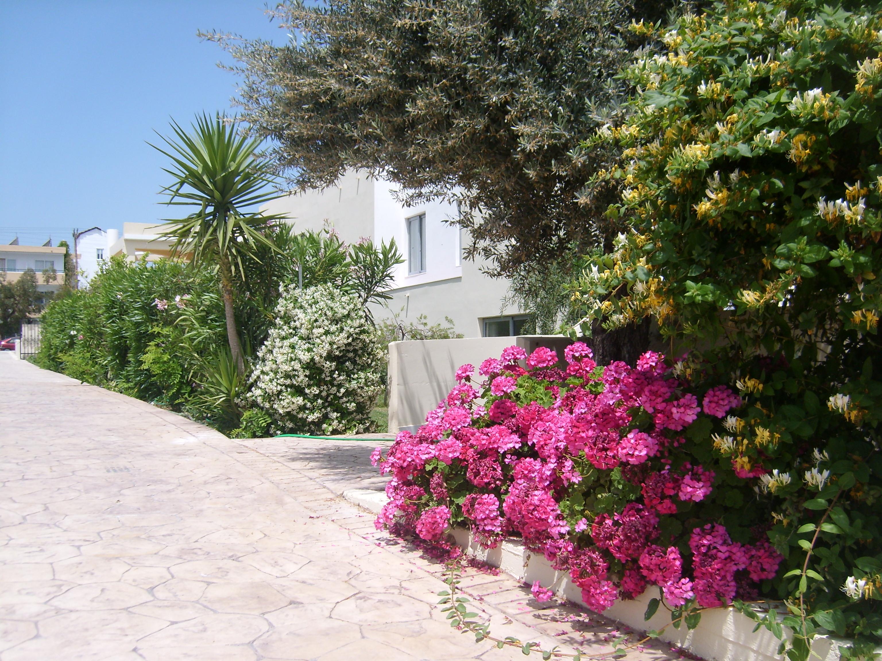 Memphis Beach Hotel Kolymbia Luaran gambar